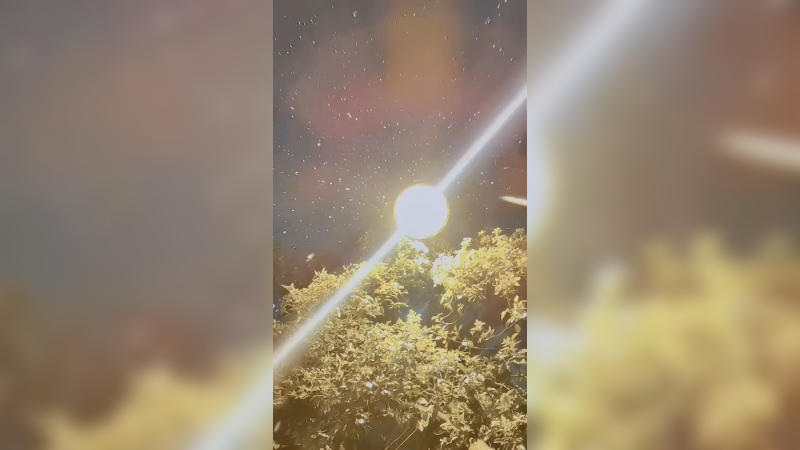 那是逝去的青春