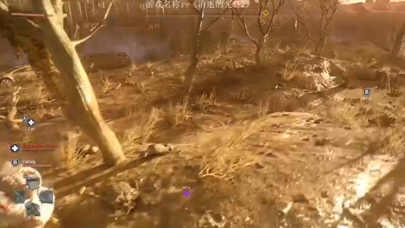 【2022-02-08 21点场】半支烟：【半支烟】《消光2》跑酷4人小分队！