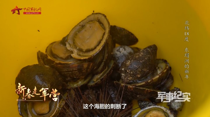 新兵带你来赶海 领略不一样的海岛情怀