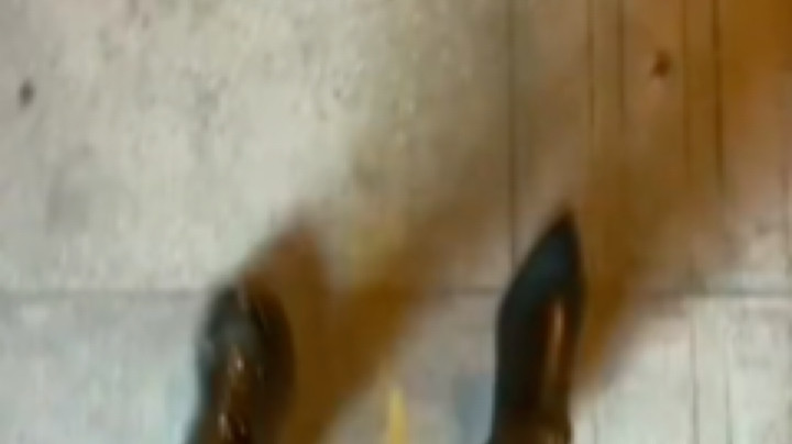 [鲨鱼娘半遮面]