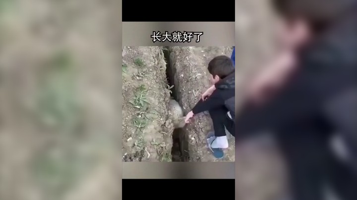 哈哈，笑死我了