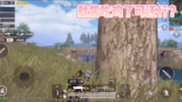 就酱吃鸡啦！
