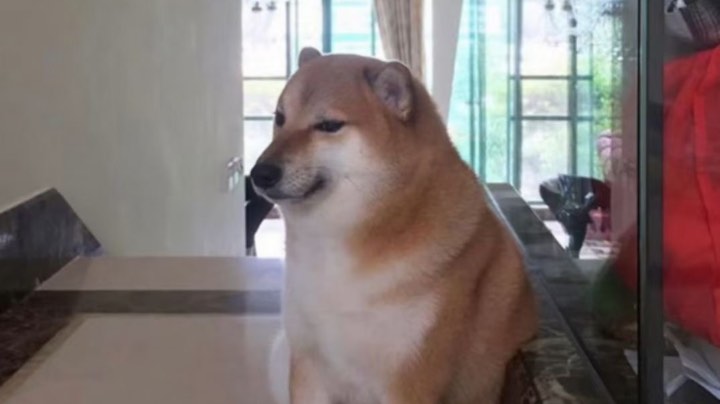 .