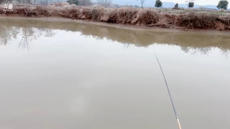 【2022-02-10 11点场】白菇凉：白菇凉:钓鱼佬不空军