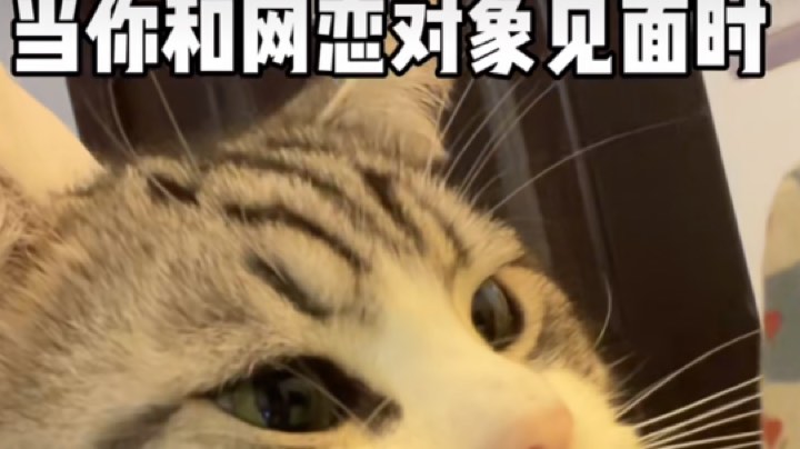 日常