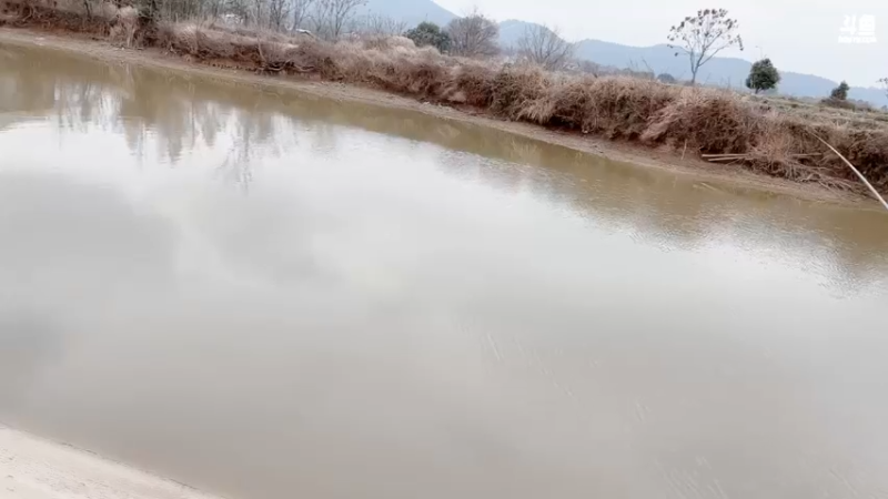 【2022-02-10 13点场】白菇凉：白菇凉:钓鱼佬不空军