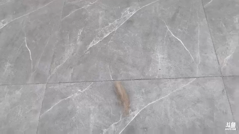 【2022-02-11 15点场】丨绅士瑄丨：才到家！开播了！MC之旅！