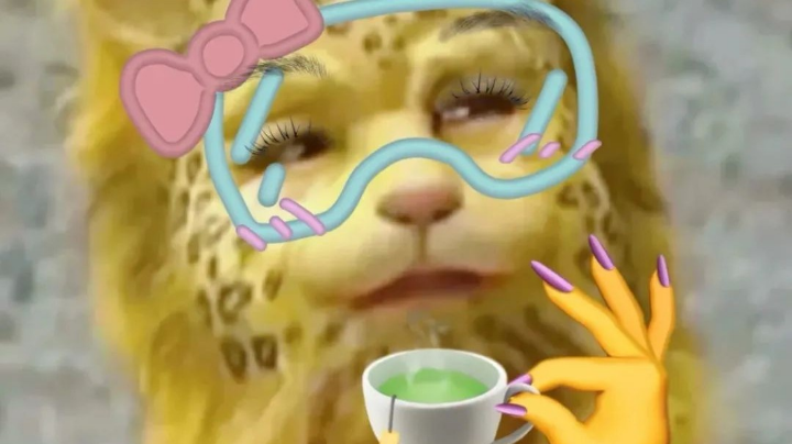 就是菜！
