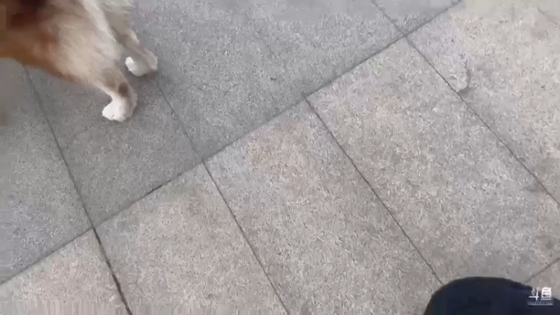 【2022-02-11 16点场】丨绅士瑄丨：才到家！开播了！MC之旅！