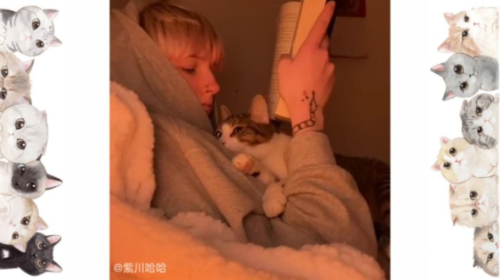 我就是这条街最膨胀的猫咪