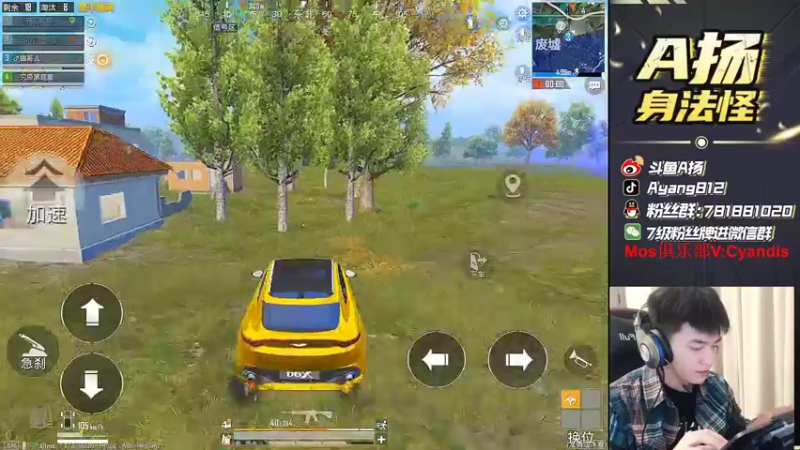 【2022-02-10 22点场】A扬丷：《主播单4大豆赛》