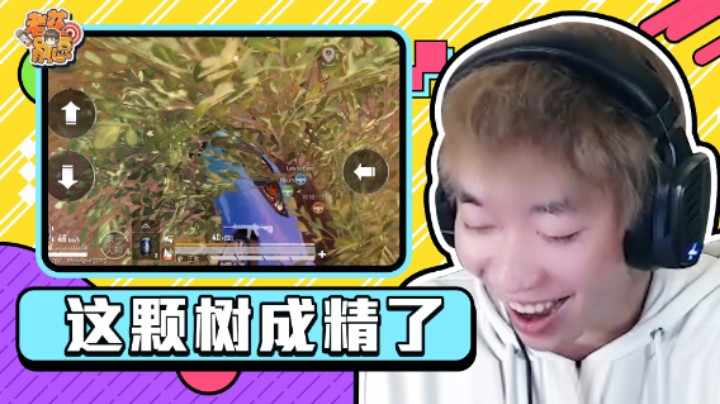 【老花别逗】史上第一棵树上长车？这棵树成精了