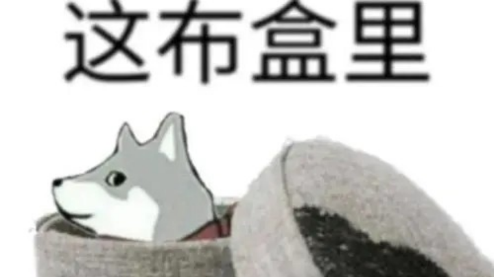 我快疯了