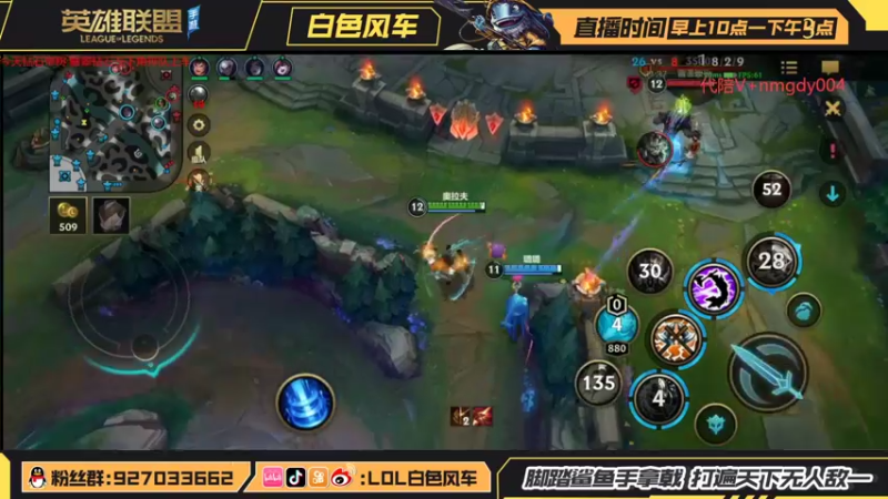【2022-02-12 11点场】白色风车丶丶丶丶：武器+猫咪=无敌！顶级教学轻松上大分！