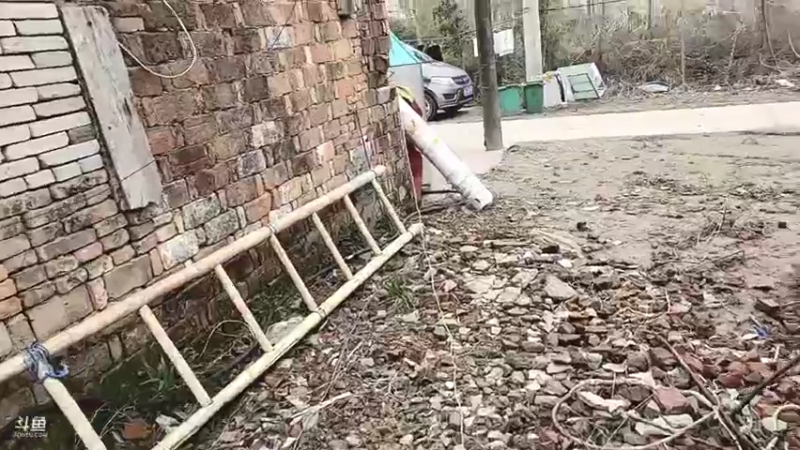 【2022-02-12 10点场】洪湖小肖：有福羊生宝宝啦337852