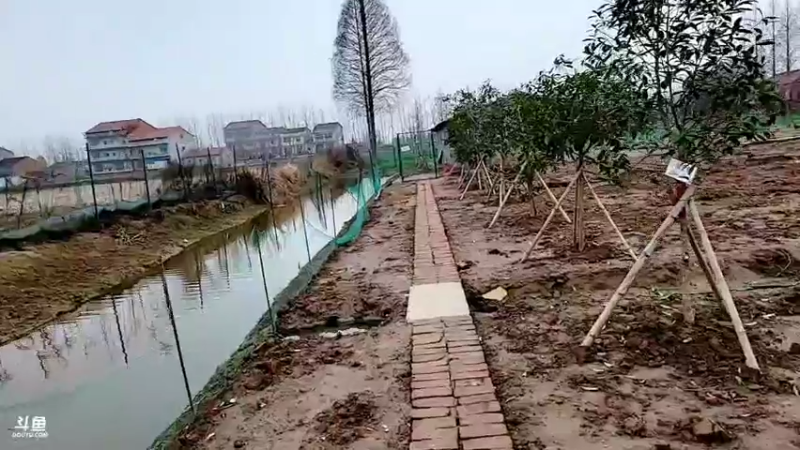 【2022-02-12 16点场】洪湖小肖：有福羊生宝宝啦337852