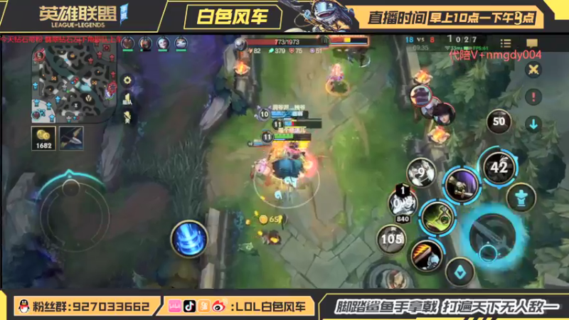 【2022-02-12 13点场】白色风车丶丶丶丶：武器+猫咪=无敌！顶级教学轻松上大分！