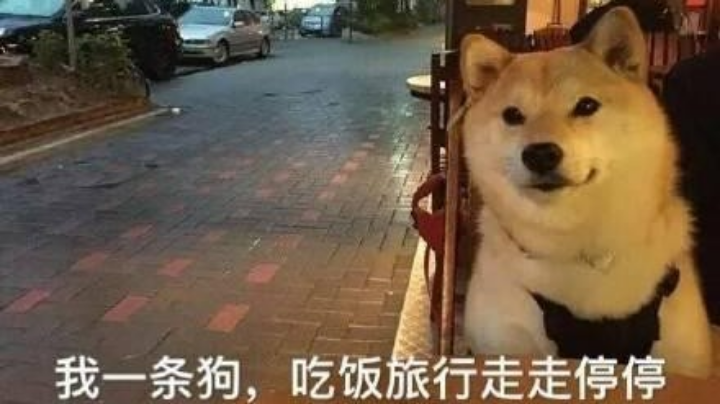 逃出生天➕定级赛