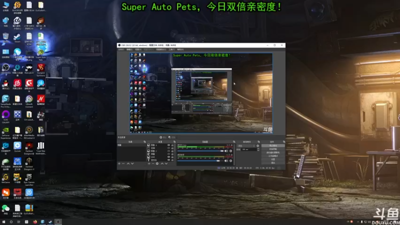 【2022-02-13 17点场】荣耀洋洋：【洋洋】小众，独立，单机游戏！