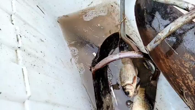 【2022-02-13 16点场】洪湖小肖：今天怼坑搞货