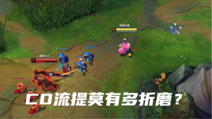 虽然游戏输了，但是我觉得我提莫赢了