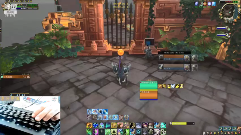 【2022-02-12 10点场】听雨小猪丶：奶德PVP-听雨小筑