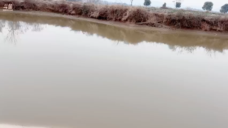 【2022-02-13 12点场】白菇凉：白菇凉:钓鱼佬不空军