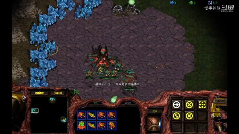 星际争霸3v3Z群殴