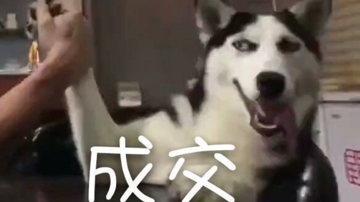 逃出生天➕双人成行