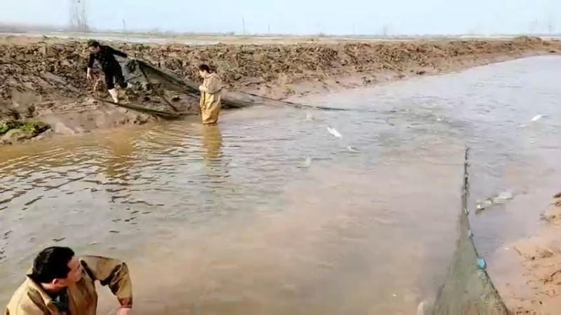 【2022-02-14 16点场】洪湖小肖：祝大家情人节快乐337852