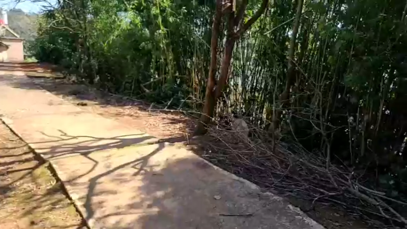 【2022-02-11 12点场】叶子户外：在云南文山，明天回成都