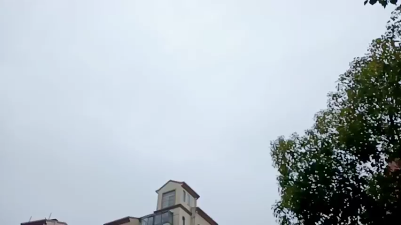 【2022-02-13 10点场】直播间最发抛的欣欣：赫本欣欣世纪婚礼！！