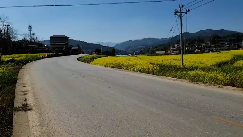 【2022-02-11 14点场】叶子户外：在云南文山，明天回成都