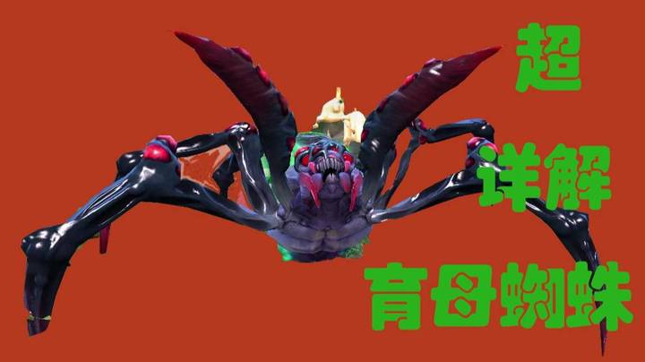 超详解 育母蜘蛛 教学