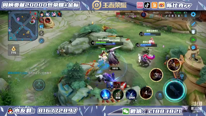 【2022-02-14 14点场】陈比克rr：打野教学gogogo