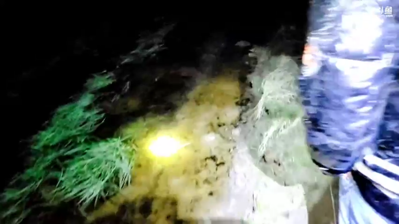 【2022-02-14 20点场】洪湖小肖：祝大家情人节快乐337852