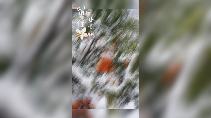 洁夕小仙女发布了一个斗鱼视频2022-02-14