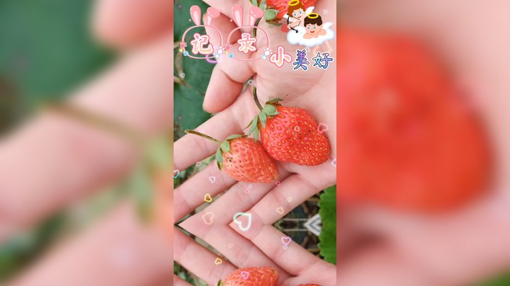 洁夕小仙女发布了一个斗鱼视频2022-02-15