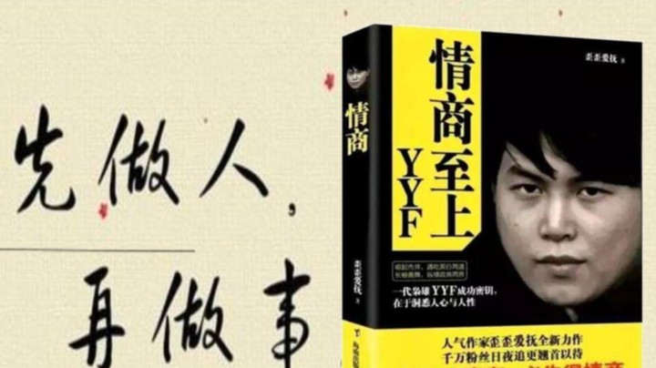 判案不是打打杀杀 判案是人情世故——YYF