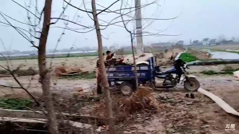 【2022-02-15 18点场】洪湖小肖：元宵节快乐 兄弟们 337852