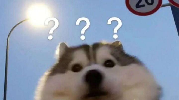 乐着呢 给偷了