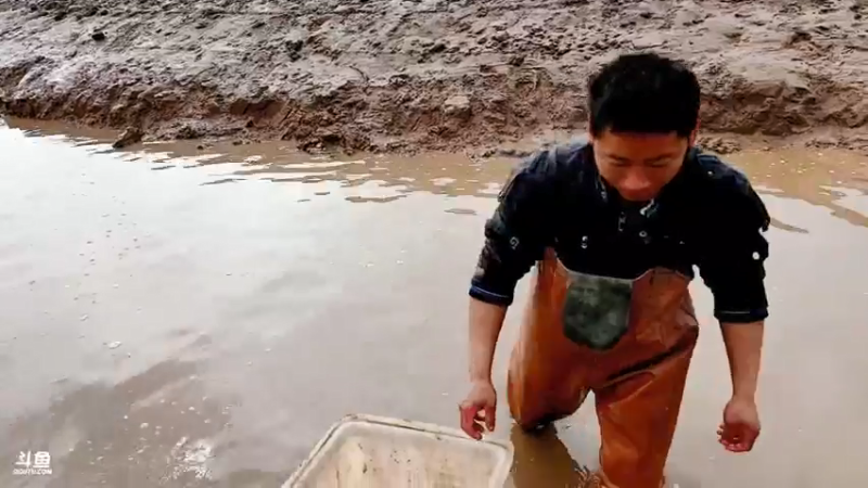 【2022-02-15 14点场】洪湖小肖：元宵节快乐 兄弟们 337852