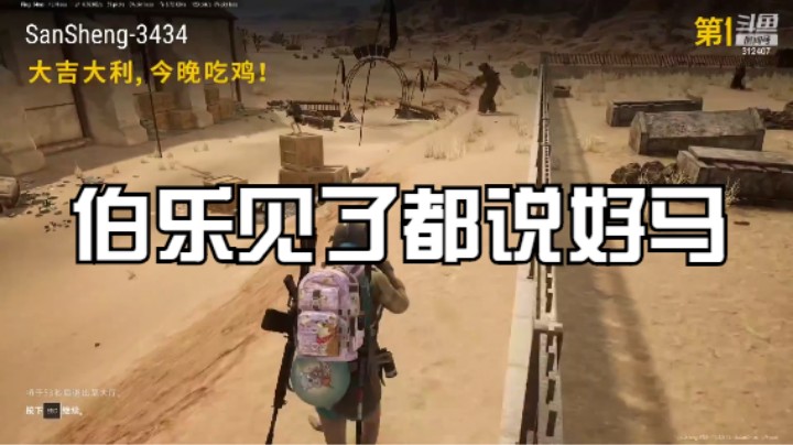 伯乐见了都说好马