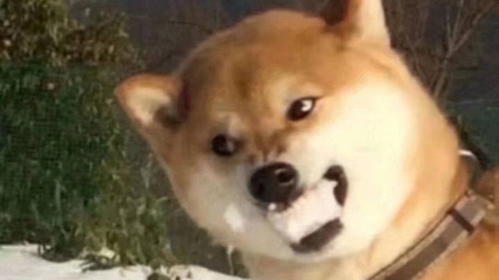 。。。