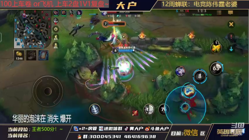 【2022-02-12 16点场】大户呀：猫咪公主是不可以自己走路的哦！
