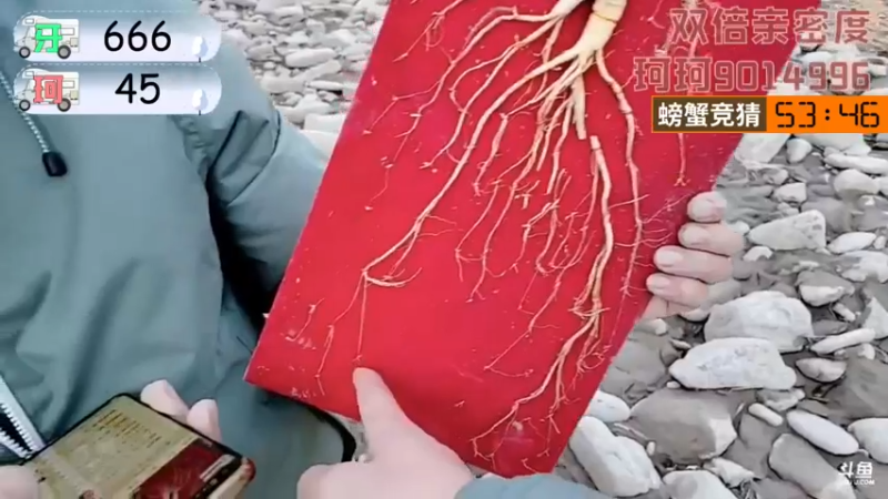 【2022-02-15 19点场】逐梦兄弟：《穷途末路》day6.巴塘