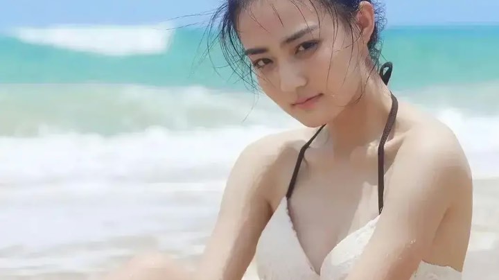 七猪挑战护卫大魔王第四季