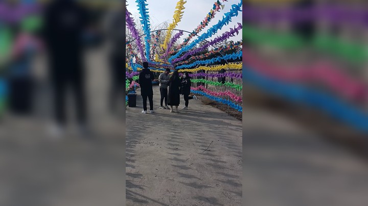 尴尬的副主席