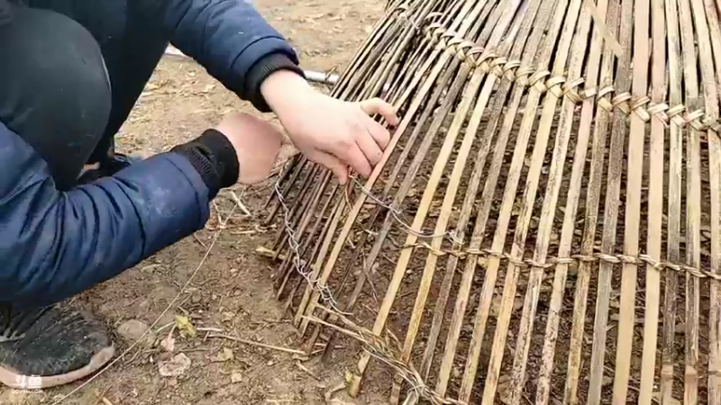 【2022-02-16 14点场】川味箩卜：新的一天元气满满 757122