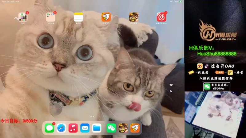 【2022-02-16 00点场】凉白开OAO：【匹路人上战神】
